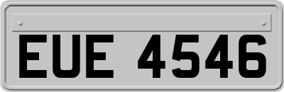 EUE4546