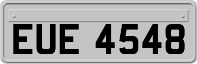 EUE4548