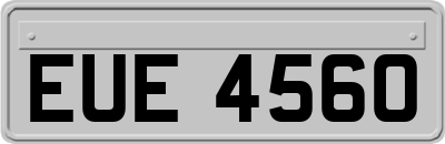 EUE4560