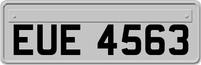 EUE4563