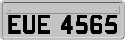 EUE4565