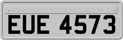 EUE4573