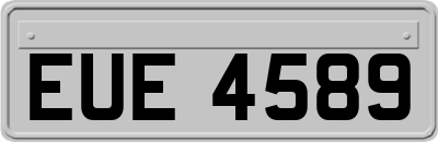 EUE4589