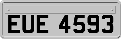 EUE4593