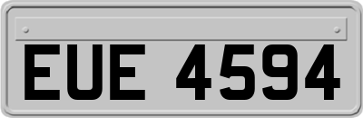 EUE4594