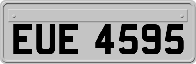 EUE4595