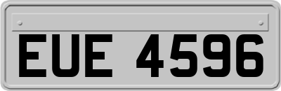 EUE4596