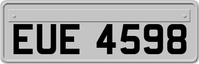 EUE4598