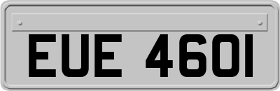 EUE4601