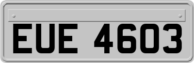 EUE4603