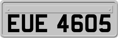 EUE4605