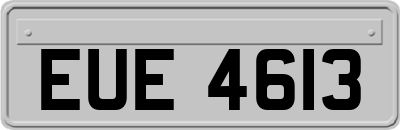 EUE4613