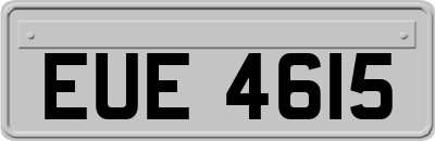 EUE4615