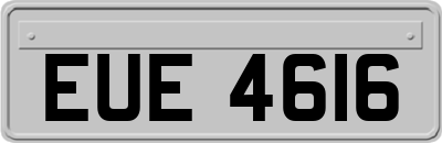 EUE4616