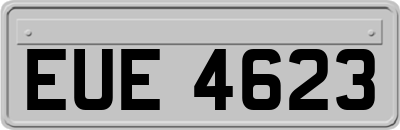 EUE4623