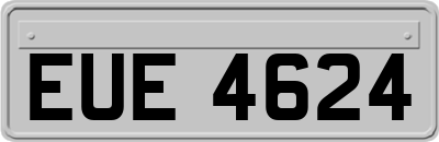 EUE4624