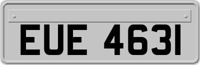 EUE4631