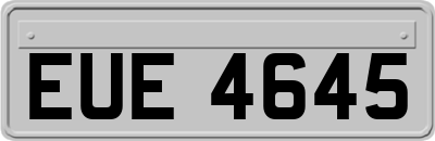 EUE4645