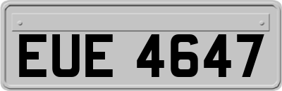 EUE4647