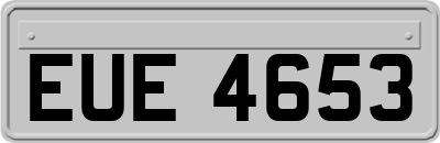 EUE4653