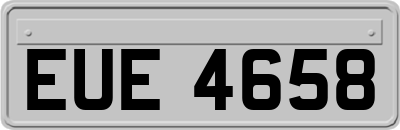 EUE4658