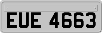 EUE4663