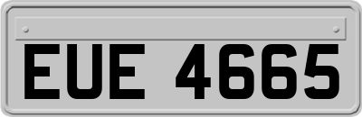 EUE4665