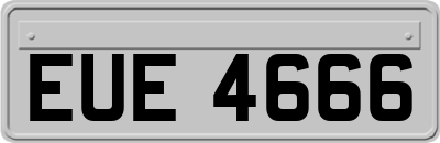 EUE4666