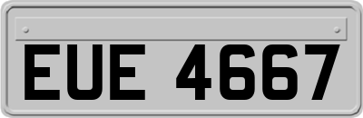 EUE4667