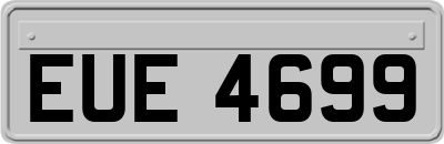 EUE4699