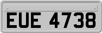 EUE4738
