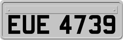 EUE4739