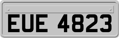 EUE4823