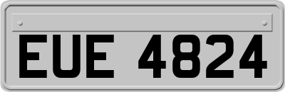 EUE4824