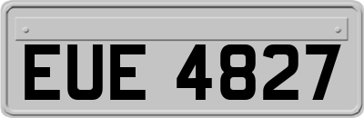 EUE4827