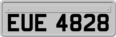 EUE4828