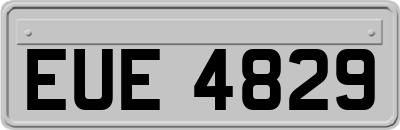 EUE4829