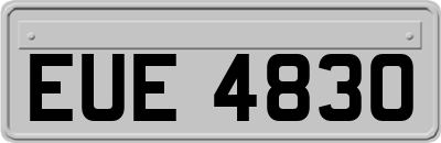 EUE4830