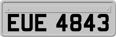 EUE4843