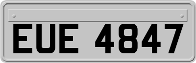 EUE4847