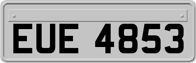 EUE4853