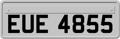 EUE4855