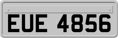 EUE4856
