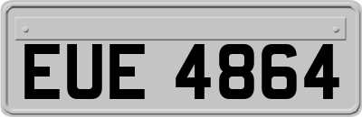 EUE4864