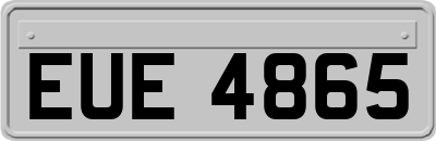 EUE4865