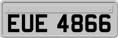 EUE4866