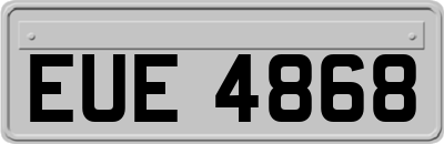EUE4868