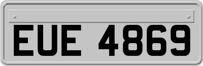 EUE4869