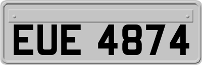 EUE4874