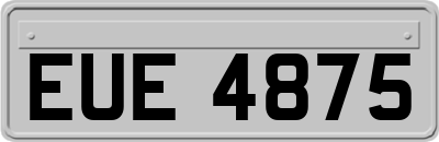 EUE4875